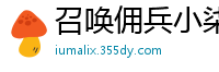 召唤佣兵小柒天